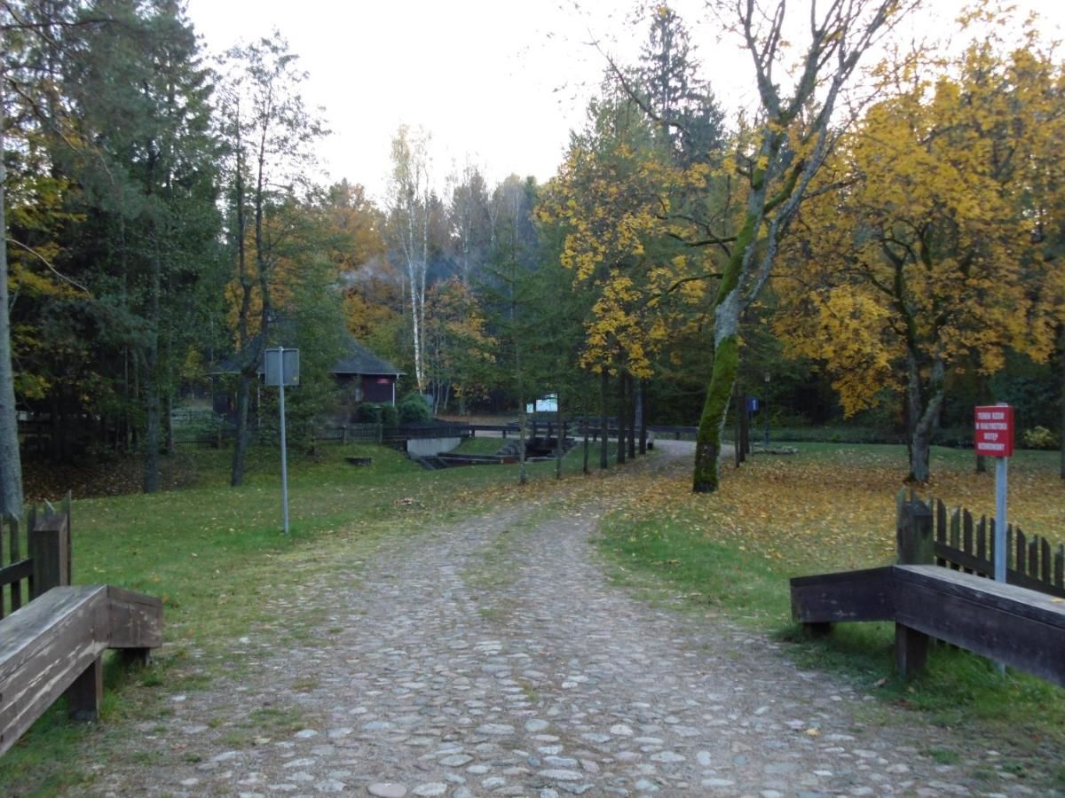 Дома для отпуска Dom na skraju lasu Płaska